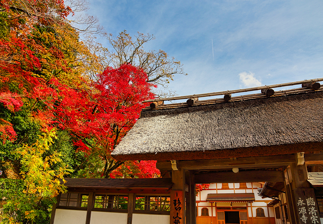 周辺の観光案内